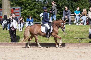 Bild 592 - Pony Akademie Turnier